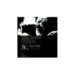Gültekin Çizgen 50. Sanat Yılı Armağanı - kollektif