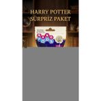 Gültekin Harry Potter Koleksiyon Figür Seti 2'li - Sürpriz Temalı Oyuncak