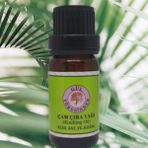 Gülyöresinden Çam Çırası Yağı 10 ml – Doğal Aromaterapi Yağı, Ortam Kokusu