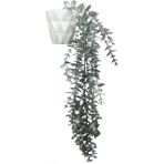 Gümüş Okaliptus 45 Cm New Collection Beyaz Elmas Saksıda Yapay Sarkan Bitki Gri