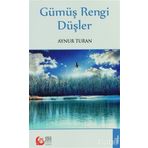 GÜMÜŞ RENGI DÜŞLER - AYNUR TURAN