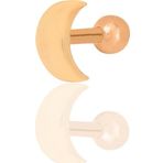 Gümüş rose hilal modeli Tragus helix Piercing küpe