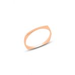 Gumus Rose Sade Delicate Gumus Yuzuk Sgtl10617rose