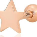 Gümüş rose yıldız modeli Tragus helix Piercing küpe