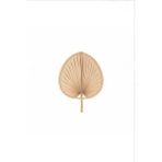 Gunbo Home Aura Medium Boy Palmiye Yaprağı Duvar Süsü, Japon Yelpazesi Bohem Stil Dekorasyon, 30 X 20 Cm Bej