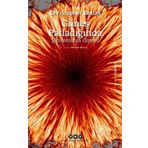 Güneş Patladığında Şizofrenin Gizemi - Christopher Bollas