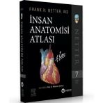 Güneş Tıp Kitabevleri Netter İnsan Anatomisi Atlası