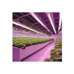 Güneydoğutopraksıztarım GROWLİGHT BİTKİ BÜYÜTME LEDİ QUANTUM SERİ 1 METRE