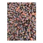 Gunkes Medine Hurması 1 Kg - Yeni Mahsul medine7899