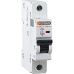 Günsan Valta Otomatik Sigorta 10KA C Tip 1 Kutup 32A - 32 A