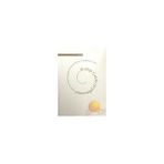 GÜNÜMÜZ TÜRKÇESİYLE EVLIYA ÇELEBİ SEYAHATNAMESI 10.KITAP - SEYIT ALI KAHRAMAN