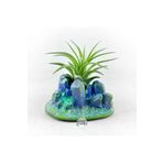 Gurme Bitki Tillandsia Ionantha Pup (S) Mineral Stand - Yavru Hava Bitkisi Aranjman Air Plant