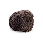 Gurme Trüf Trüf Mantarı Tohumu - 1 kg