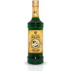 Gusse Yeşil Elma Şurubu 700 ml - Kokteyl ve Kahve Kullanımı Için Profesyonel Aroma