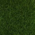Güven Collection Green 50 mm Hav Yüksekliğinde Çim Halı - 400 cm En