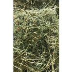 Güven Yem Kuru Yonca Kemirgen Otu 5 Kg Paket.