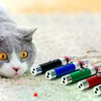 Güvenle Al 3 Fonksiyonlu Kırmızı Beyaz Işıklı Led Lazer Kedi Köpek Oyuncak Anahtarlık (4745)