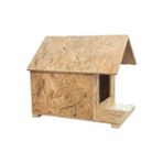 Güvercin Kümesi İstanbul Kedi Evi-Barınak-Kedi Klubesi-Yuva