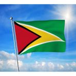 Guyana Devleti Bayrağı Premium Raşel Kumaş 100X150 cm