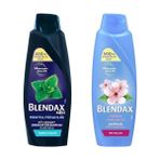 Güzel Hediyem Blendax Erkekler Için Mentol Ferahlığı Nane Özlü Şampuan, 500 ml ve Blendax Anında Parlaklık ve Yumuşaklık Kiraz Çiçeği Özlü Şampuan, 500 ml - Option-1