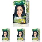 Güzel Hediyem Sea Color Amonyaksız, Vegan, Doğal, Besleyici Kalıcı Saç BOYASI%100 Beyaz Kapama (1 Paket 2 x 50 ml Boya & Oksidan) (Mavi Siyah 1.1) (4 Paketi)