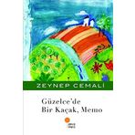 GÜZELCE`DE BIR KAÇAK MEMO - ZEYNEP CEMALI