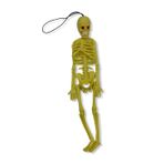 Gvn Art 20 cm Deney Malzemesi Plastik İskelet