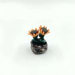 Gvn Art N:Hp-601 Saksıda Çiçek 20x40 mm Maket