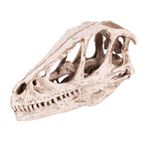 GZD Dinozor Kafatası Modeli, Masaüstü Dekoru, 4,92 x 1,57 x 2,56 inç Simüle Hayvan-İskeleti Reçine Dinozor Modeli, Öğrenci Ofisi için