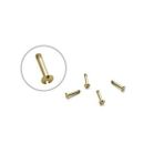 H Civata 5,5mm Gold 1 Adet - Hublot Saat Uyumlu Vida