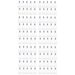 Hacamat Kupasi - 2 Numara (100 Tane)