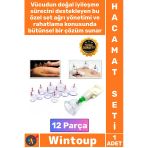 #Hacamatseti Klinik Tipi Masaj Terapi Ağrı Giderici Pompalı Vakumlu Hacamat Kupa Çekme Seti 12 Parça