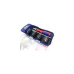 Hace Bazaar Workpro WP200516 18 Parça Profesyonel Cr-V Cırcırlı Hassas/elektronikçi Bits Tornavida Seti -Hc