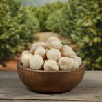 Hacı Mümtaz Fındık Içi Kavrulmuş - 1 kg