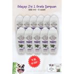 Hacı Şakir Adaçayı 2'si 1 Arada Kepeğe Karşı 11x500 ml Rosie Şampuan