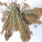 Hacıosman Çiftliği Yabani Sarı Kantaron Çiçeği (Hipersin) Çayı 110GR