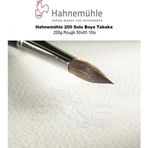 Hahnemühle 200 g Rough 50x65 10'lu 200 Sulu Boya Tabaka