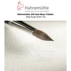 Hahnemühle 200 g Rough 50x65 10'lu 200 Sulu Boya Tabaka