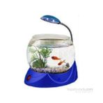 Hailea V 02 1.8 lt Led Aydınlatmalı Mavi Fanus