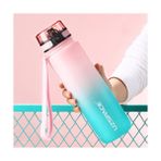 Haitn 1000 ml Küçük Taze Gradyan Pembe Suluk