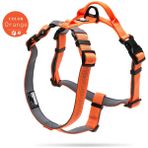 HaiTun Pet Koşum Ayarlanabilir Yansıtıcı Naylon Yaka Leash Işık Neopren Yastıklı Yürüyüş Koşu Dropshipping | Köpek Yelekleri (Yurt Dışından) - Turuncu