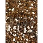 Hakay Özel Karışım Saksı Harcı, 3 Lt - Sphangum Torfu, Cocopeat ve Perlit
