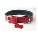Hakiki Deri Köpek Boyun Tasması XXS Kırmızı 2x22-30 cm