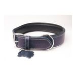 Hakiki Yağlı Deri Köpek Boyun Tasması L Lacivert 3X47-56 cm