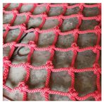 Halat Ağı, Çocuklar için Açık Hava Tırmanma Ağı - 1x3 m (3,3 x 9,8 ft) Oyun Alanı Kargo Ağı Salıncak Setleri için Tırmanma Halatı Kaya Tırmanışı Bahçe ve Otomotiv Kullanımı (Renk: 10 x 10 cm)