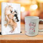 Halk Kitabevi Çocuk Kitapları Oyuncu Kedi Ajanda Sevimli Kedi Kupa Seti Kolektif 160 Sayfa