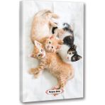 Halk Kitabevi Oyuncu Kedi Planlama Defteri 13.5 x 19.5 cm