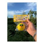 Halley Oyuncak GÖZLÜKLÜ SARI ÖRDEK Squishy | Sukuşi | Stres Oyuncağı