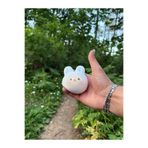 Halley Oyuncak TAVŞAN Squishy | Sukuşi | Stres Oyuncağı (FİLELİ)