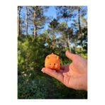Halley Oyuncak TURUNCU KEDİ Squishy | Sukuşi | Stres Oyuncağı